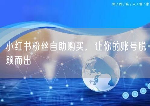 小红书粉丝自助购买，让你的账号脱颖而出