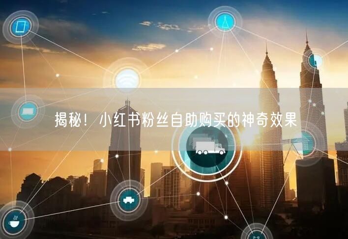 揭秘！小红书粉丝自助购买的神奇效果