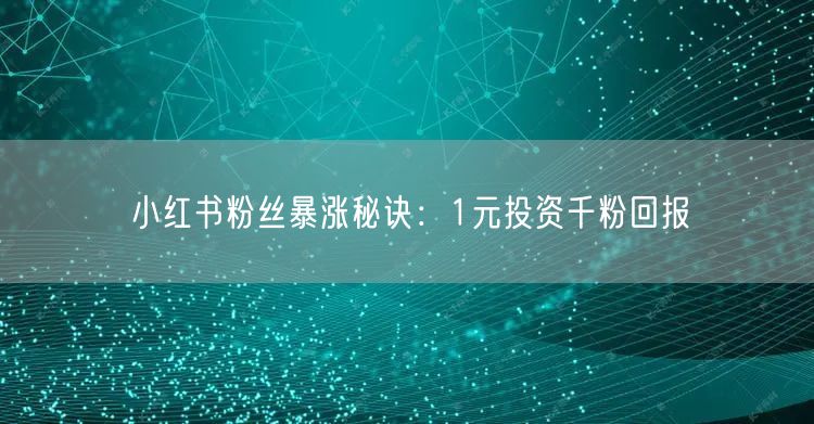 小红书粉丝暴涨秘诀：1元投资千粉回报