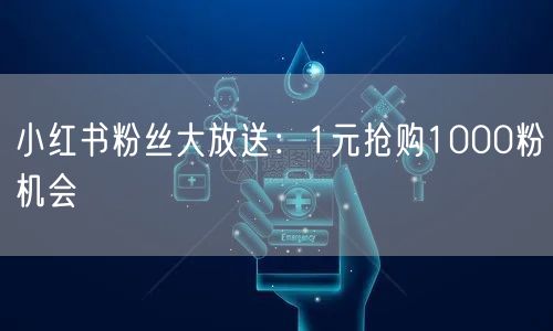 小红书粉丝大放送：1元抢购1000粉机会