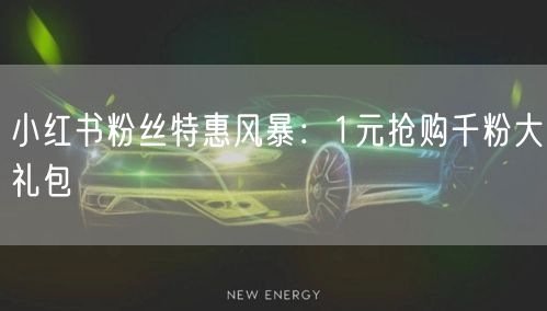 小红书粉丝特惠风暴：1元抢购千粉大礼包