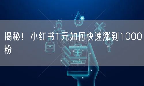 揭秘！小红书1元如何快速涨到1000粉