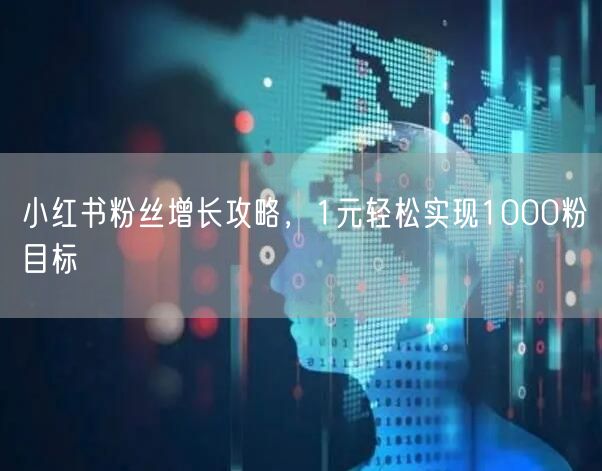 小红书粉丝增长攻略，1元轻松实现1000粉目标