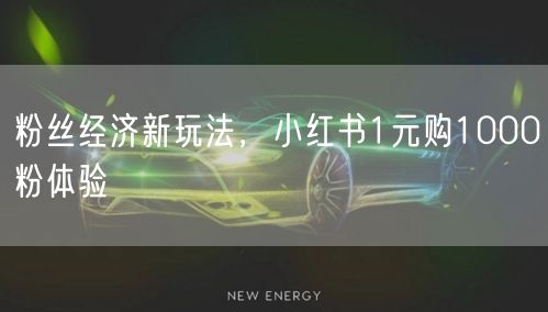 粉丝经济新玩法，小红书1元购1000粉体验