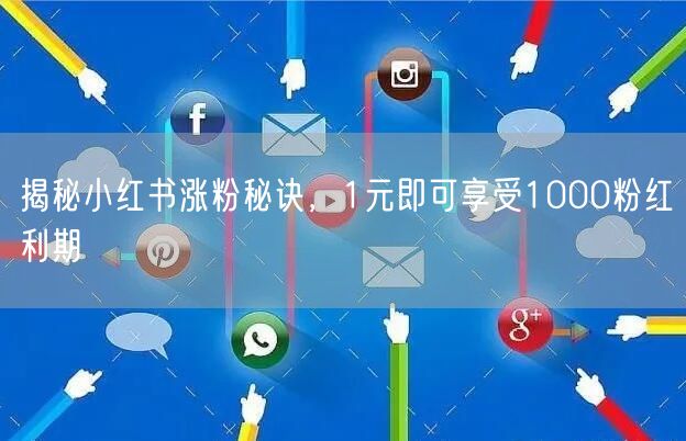 揭秘小红书涨粉秘诀，1元即可享受1000粉红利期