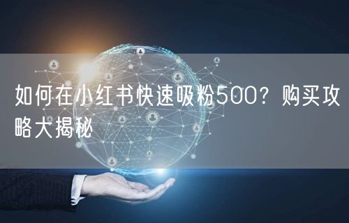 如何在小红书快速吸粉500？购买攻略大揭秘