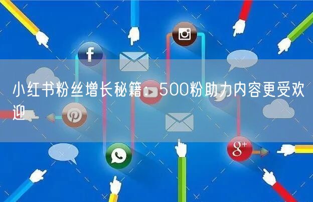 小红书粉丝增长秘籍：500粉助力内容更受欢迎