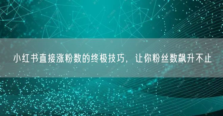 小红书直接涨粉数的终极技巧，让你粉丝数飙升不止