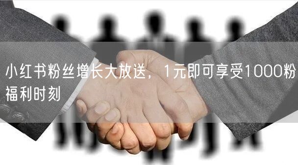 小红书粉丝增长大放送，1元即可享受1000粉福利时刻
