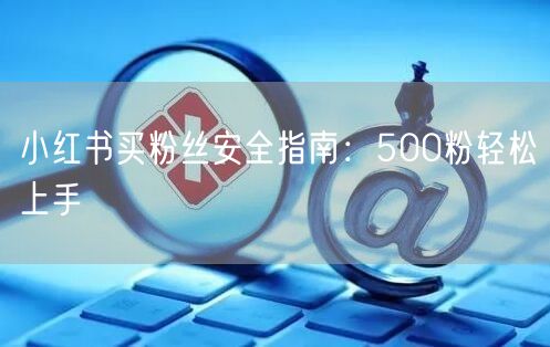 小红书买粉丝安全指南：500粉轻松上手