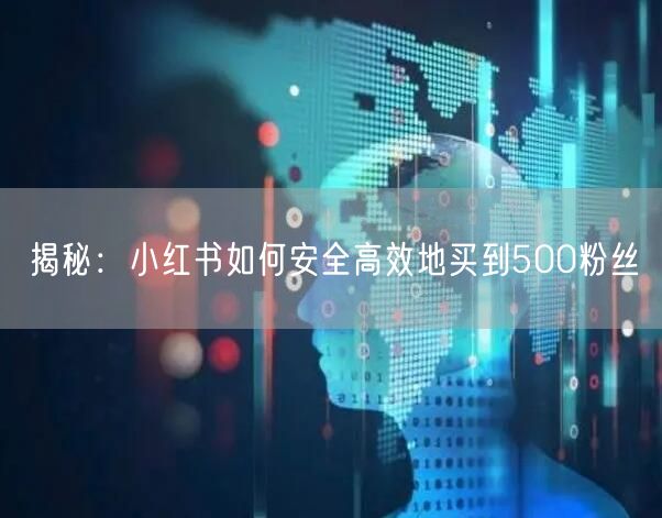揭秘：小红书如何安全高效地买到500粉丝