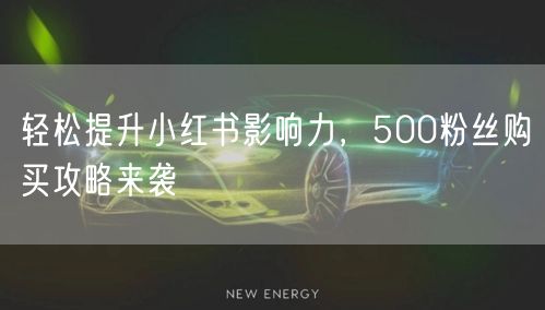 轻松提升小红书影响力，500粉丝购买攻略来袭