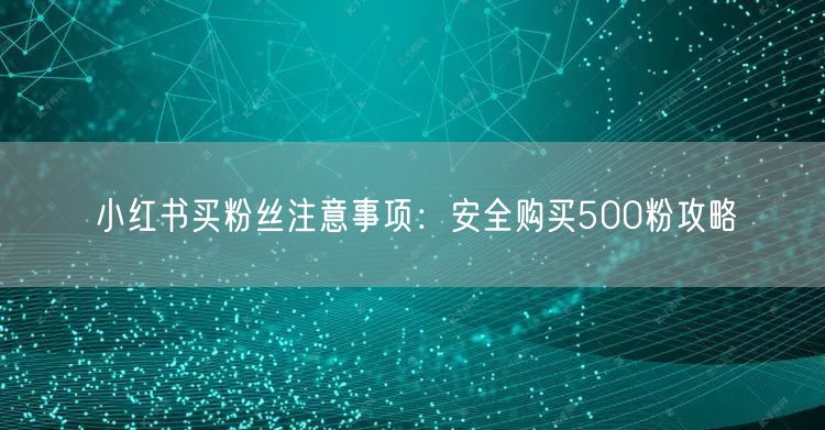 小红书买粉丝注意事项：安全购买500粉攻略