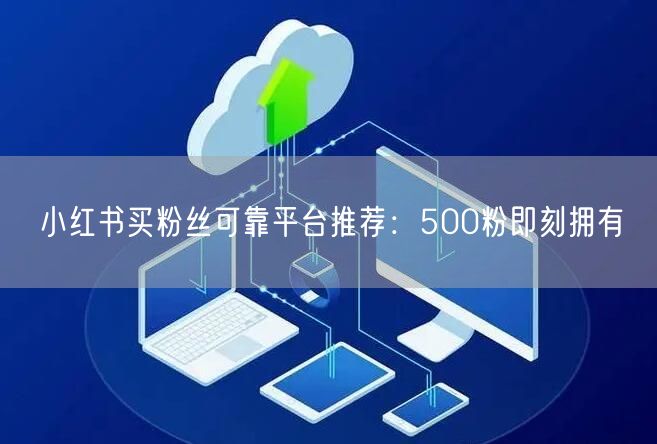 小红书买粉丝可靠平台推荐：500粉即刻拥有