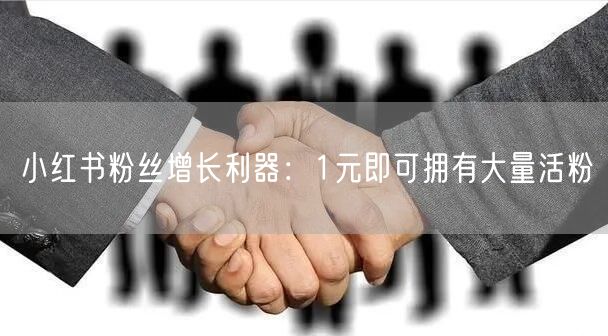 小红书粉丝增长利器：1元即可拥有大量活粉