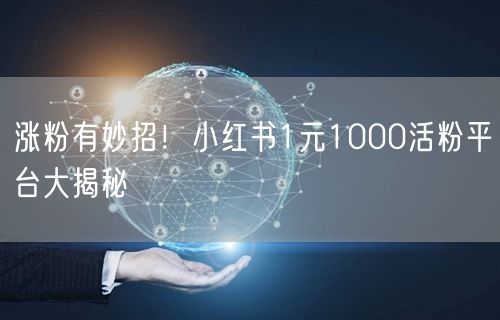 涨粉有妙招！小红书1元1000活粉平台大揭秘