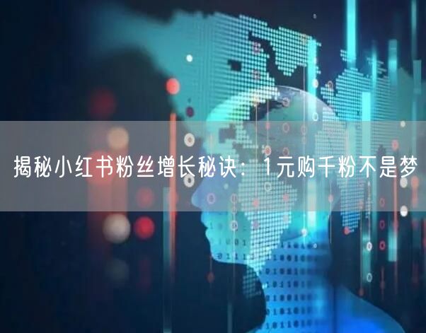 揭秘小红书粉丝增长秘诀：1元购千粉不是梦