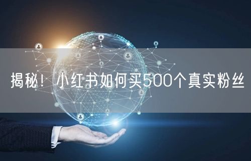 揭秘！小红书如何买500个真实粉丝