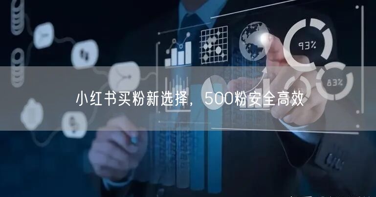 小红书买粉新选择，500粉安全高效