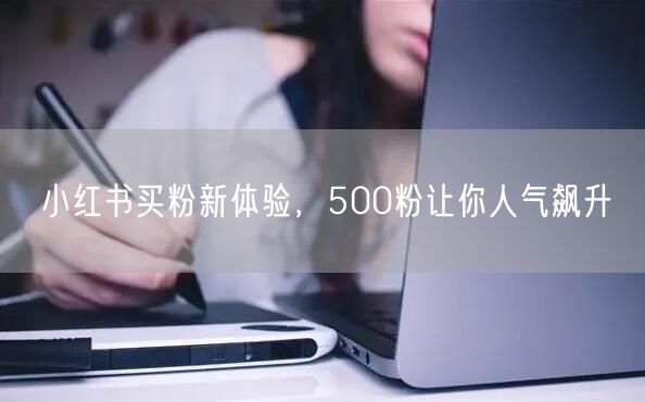 小红书买粉新体验，500粉让你人气飙升