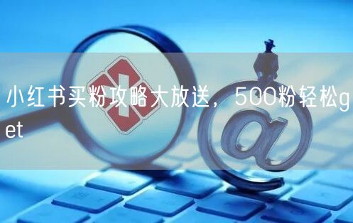 小红书买粉攻略大放送，500粉轻松get