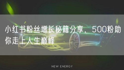 小红书粉丝增长秘籍分享，500粉助你走上人生巅峰