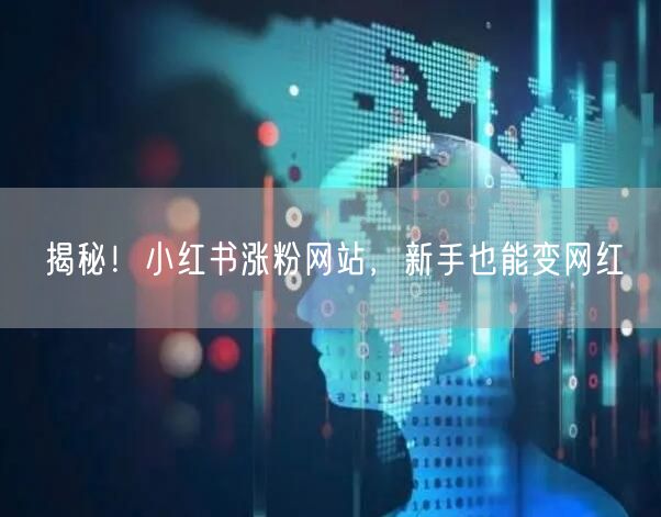 揭秘！小红书涨粉网站，新手也能变网红