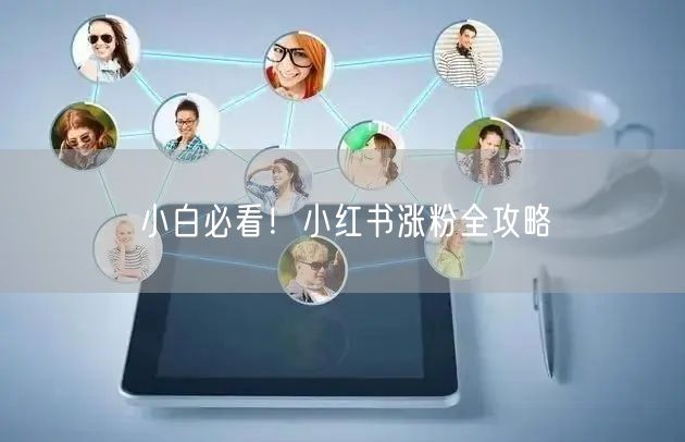 小白必看！小红书涨粉全攻略