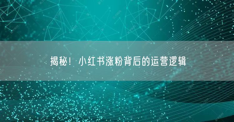 揭秘！小红书涨粉背后的运营逻辑
