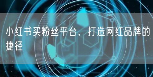 小红书买粉丝平台，打造网红品牌的捷径