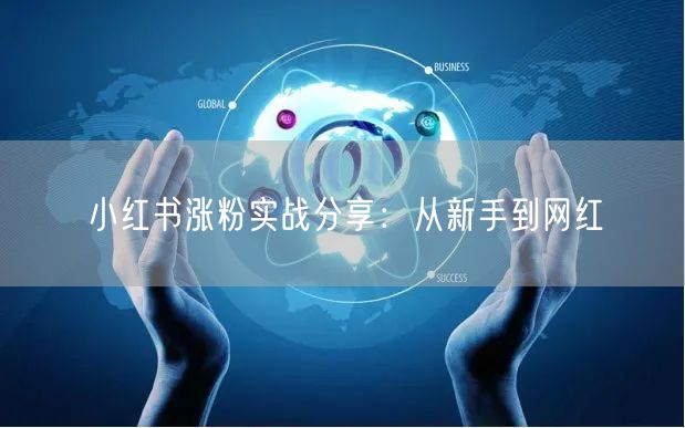 小红书涨粉实战分享：从新手到网红