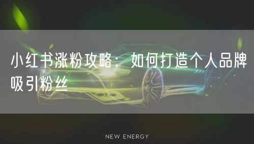 小红书涨粉攻略：如何打造个人品牌吸引粉丝