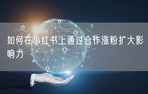 如何在小红书上通过合作涨粉扩大影响力