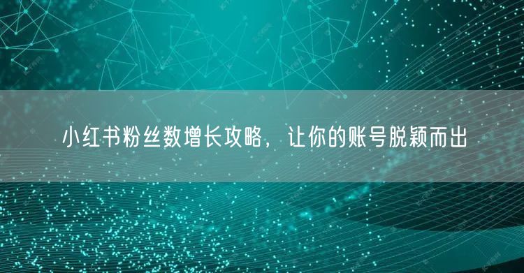 小红书粉丝数增长攻略，让你的账号脱颖而出