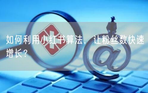 如何利用小红书算法，让粉丝数快速增长？