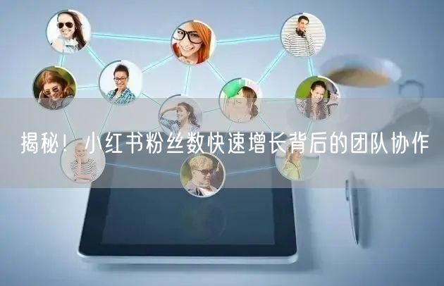 揭秘！小红书粉丝数快速增长背后的团队协作