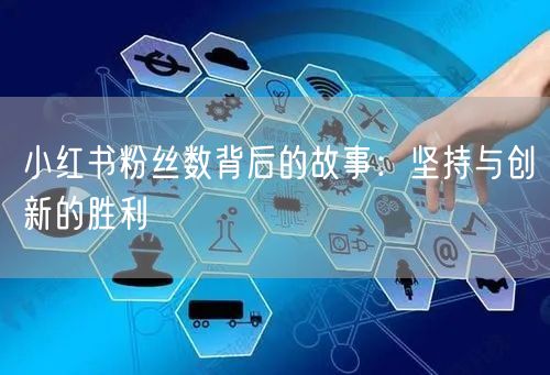 小红书粉丝数背后的故事：坚持与创新的胜利