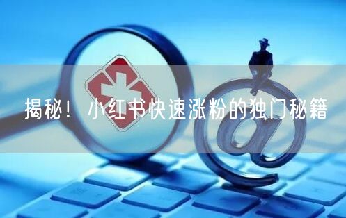 揭秘！小红书快速涨粉的独门秘籍