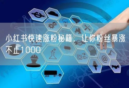 小红书快速涨粉秘籍，让你粉丝暴涨不止1000