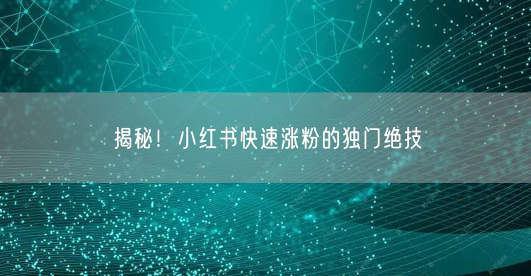 揭秘！小红书快速涨粉的独门绝技