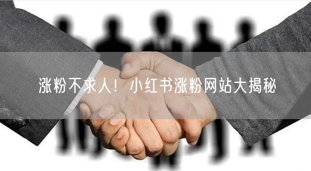 涨粉不求人！小红书涨粉网站大揭秘