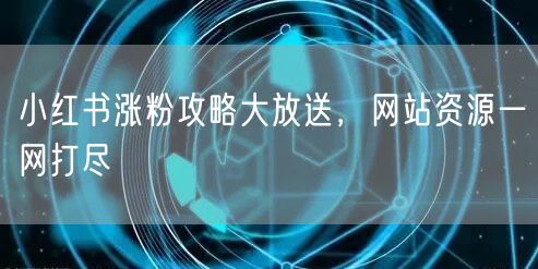 小红书涨粉攻略大放送，网站资源一网打尽