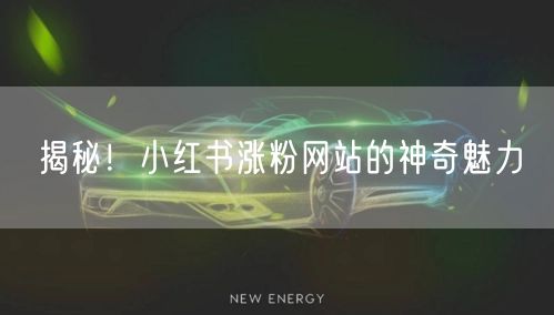 揭秘！小红书涨粉网站的神奇魅力