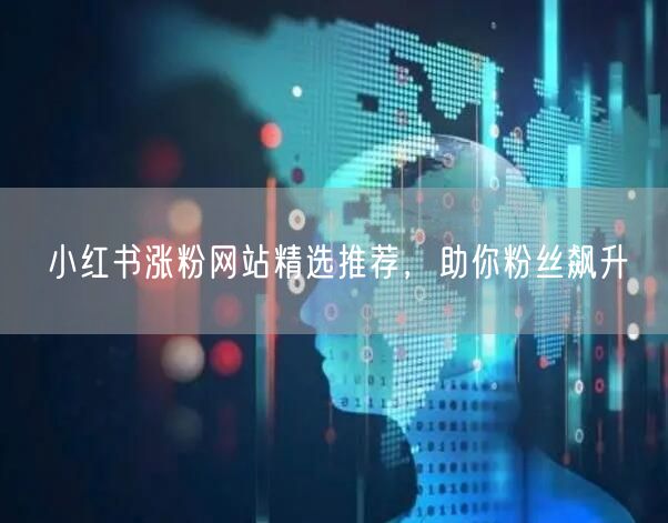小红书涨粉网站精选推荐，助你粉丝飙升