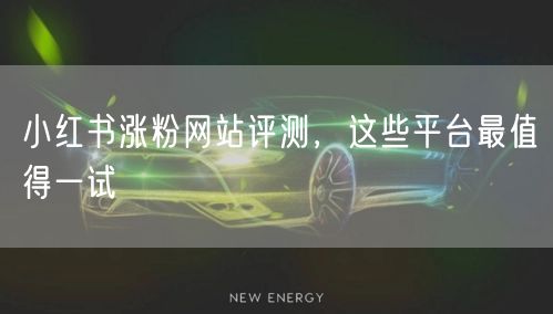 小红书涨粉网站评测，这些平台最值得一试
