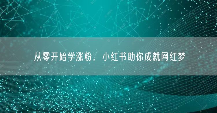 从零开始学涨粉，小红书助你成就网红梦