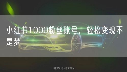 小红书1000粉丝账号，轻松变现不是梦