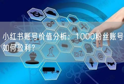 小红书账号价值分析：1000粉丝账号如何盈利？