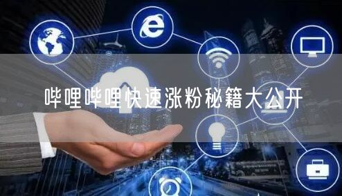 哔哩哔哩快速涨粉秘籍大公开