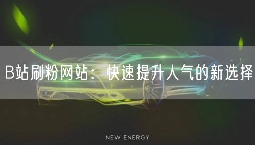B站刷粉网站：快速提升人气的新选择